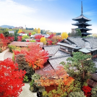 【平日限定】10大特典&絶品試食&東山おもてなし体験フェア