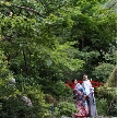 【最大30万円特典付】この時期限定、緑が美しい約1000坪の日本庭園を散策。日本庭園を使ったおもてなしやフォトスポットなどをご紹介。無料試食や相談会でおもてなしの味やお得なプランもチェック！