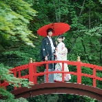 エルム ガーデンのフェア画像