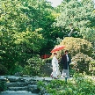 エルム ガーデン：【平日限定】日本庭園を眺めながらゆっくり会場見学×個別相談会