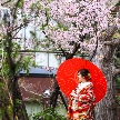 【豪華特典付き】この時期限定、桜咲く約1000坪の日本庭園を散策。日本庭園を使ったおもてなしやフォトスポットなどをご紹介。無料試食や相談会でおもてなしの味やお得なプランもチェック！