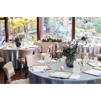 エルム ガーデンのフェア画像