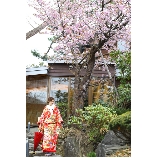 エルム ガーデンのブライダルフェア画像