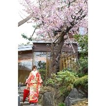 エルム ガーデンのフェア画像