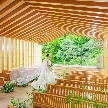 エルム ガーデンのフェア画像