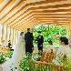エルム ガーデンのフェア画像