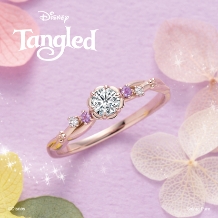 OGAKI SASHIGEN（大垣さし源）:【Disney tangled】　Blooming Heart　初めてのときめき