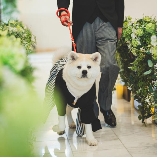 The ORANGER GARDEN ISUZUGAWA （ザ・オランジェガーデン五十鈴川）のブライダルフェア画像