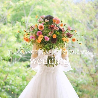 The ORANGER GARDEN ISUZUGAWA （ザ・オランジェガーデン五十鈴川）のフェア画像