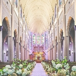 プリムローズのフェア画像