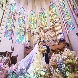 プリムローズのフェア画像