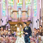 プリムローズのフェア画像