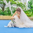 プリムローズ：《愛するペットが憧れ大聖堂に♪》皆が主役＊思い出に残る結婚式