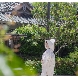 迎賓館TOKIWA/新潟縣護國神社のフェア画像