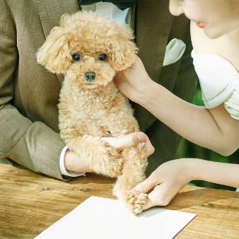 ＳＴ. ＭＡＲＧＡＲＥＴ　ＷＥＤＤＩＮＧ（セント・マーガレット　ウエディング）のフェア画像