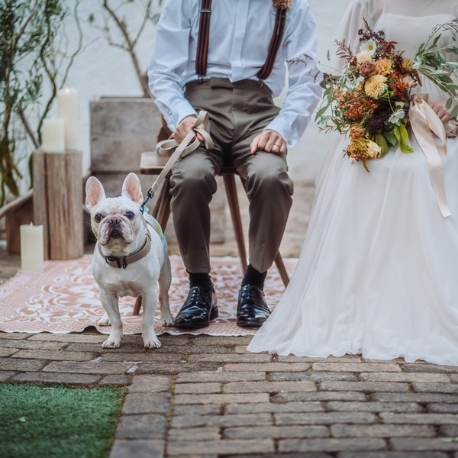 ＬＥ ＰＯＮＴ ＮＥＵＦ（ポンヌフ）：【ペット婚】大切な愛犬も一緒！貸切ガーデンW見学×無料試食