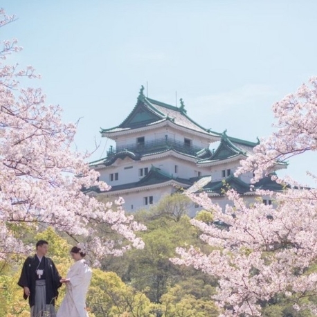 ダイワロイネットホテル和歌山：桜彩る美景＆豪華3皿コース試食×リアル見積≪最大50万優待≫