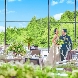けやき坂 彩桜邸 シーズンズテラス（けやきざか さいおうてい）のフェア画像