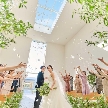 ブランレヴュー宇都宮アクアテラス：当館人気No1*最大160万優待×絶景貸切ガーデン×憧れドレス体験