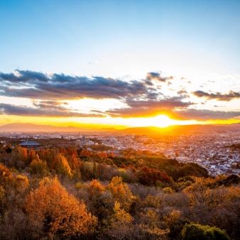 IRIS WATER TERRACE AYAMEIKE:【結婚式×宿泊プラン】祝福の余韻に包まれる滞在型ウエディング