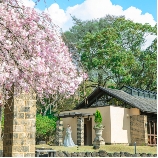 THE HILLTOP TERRACE NARA（ザ・ヒルトップテラス奈良）のブライダルフェア画像