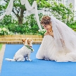 St.ヴァレンタイン福山:【ペット婚】リングドッグOK×貸切ガーデンで叶う感動体験