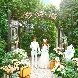 Patrick Kiso Garden 東京・町田のフェア画像