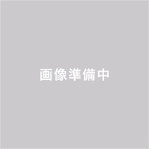 ノビアノビオのフェア画像