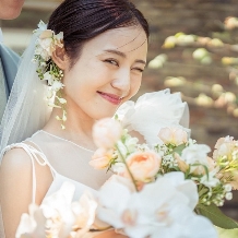 ノビアノビオのフェア画像