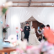 ノビアノビオのフェア画像