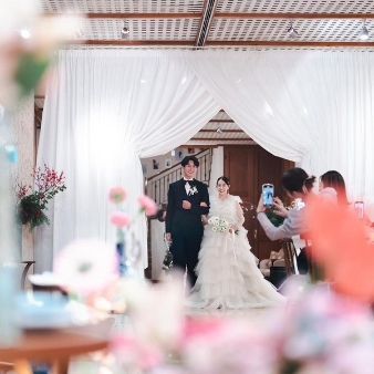 ノビアノビオのフェア画像