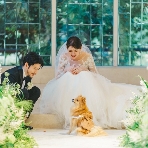 THE CHELSEA COURT（ザ・チェルシーコート）のフェア画像