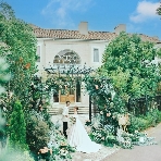 THE CHELSEA COURT（ザ・チェルシーコート）のフェア画像