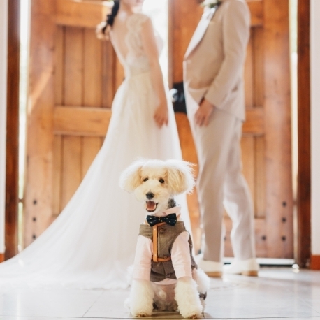ＶＩＬＬＡ　ｄｅ　ＥＳＰＯＩＲ （エスポワール）：＼愛犬と参加◎／挙式～披露宴までずっと一緒★ペット婚相談会