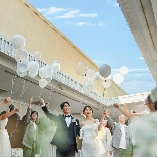 ソラ 神戸　SOLA KOBEのブライダルフェア画像