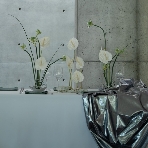 ザ・ヒルサイド神戸のフェア画像