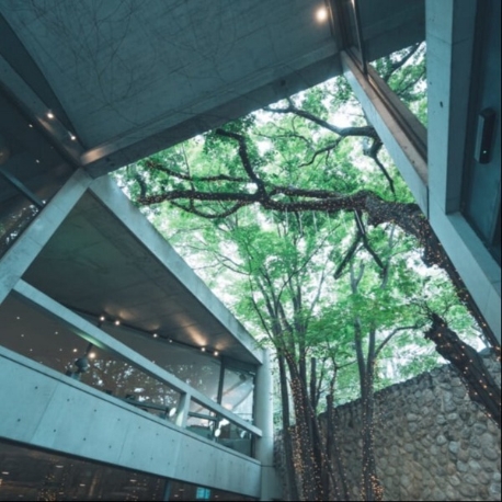 ザ・ヒルサイド神戸：◆平日限定 前撮り付◆安藤建築＆美食コース堪能フェア