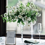 神戸迎賓館 旧西尾邸 （兵庫県指定重要有形文化財）のフェア画像