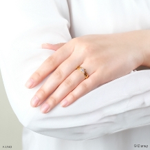 Bridal Jewelry Fujita（ブライダルジュエリーフジタ）:[Disney] 美女と野獣 / エンゲージリング