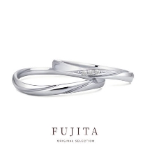 Wisteria/ウィステリア