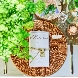 DESTINO BROOKLYN NEW YORK(ディスティーノ ブルックリン ニューヨーク)のフェア画像
