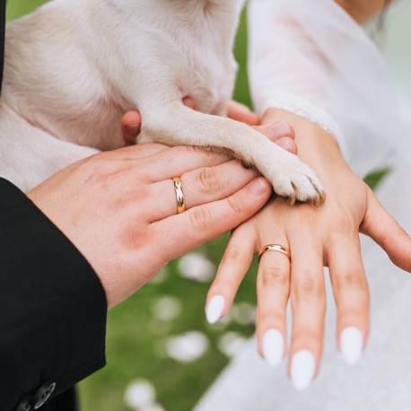 エテルナ高崎:大切なペットと一緒に叶える憧れWedding相談会*