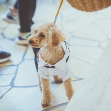 ONE＆ONLY　ル・グラン・ミラージュのフェア画像