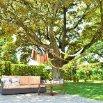 ルーデンス立川ウエディングガーデンのフェア画像