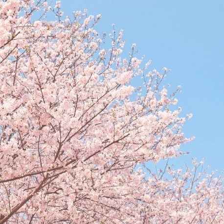 ルーデンス立川ウエディングガーデン：＼この日限り／3連休BIG★15大特典×4万相当*花見試食付