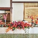 東京大神宮／東京大神宮マツヤサロンのフェア画像