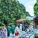 東京大神宮／東京大神宮マツヤサロンのフェア画像