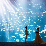 Ravir Okayama (ラヴィール岡山):話題の\水族館ウエディング/限定ご案内×館内ツアー
