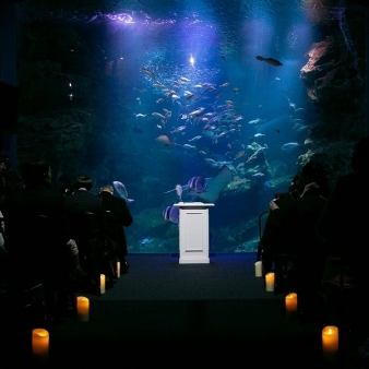 二条城チャペル　セント・アベニールのフェア画像