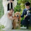 ＡＮＥＬＬＩ　軽井沢（アネーリ　軽井沢）：【わんダフル婚】&lt;愛犬も同伴見学OK&gt;リングドッグ体験＆会場案内